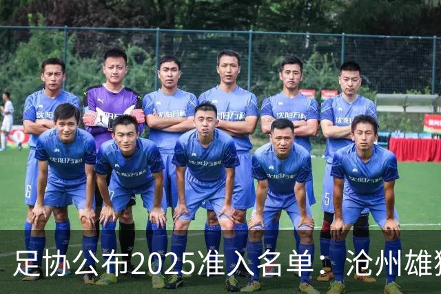 足协公布2025准入名单：沧州雄狮、广州队无缘